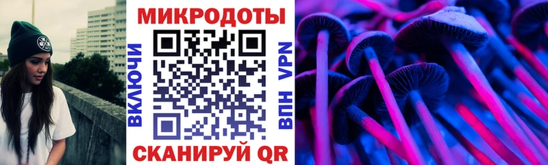 Псилоцибиновые грибы Cubensis  Каменск-Уральский 